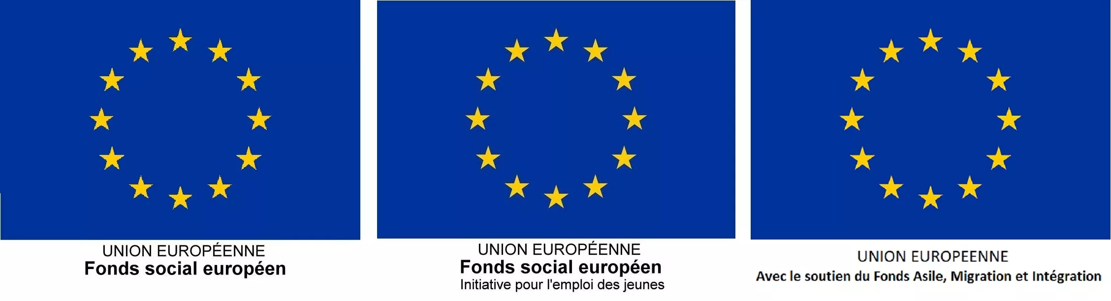 Logo-fse
